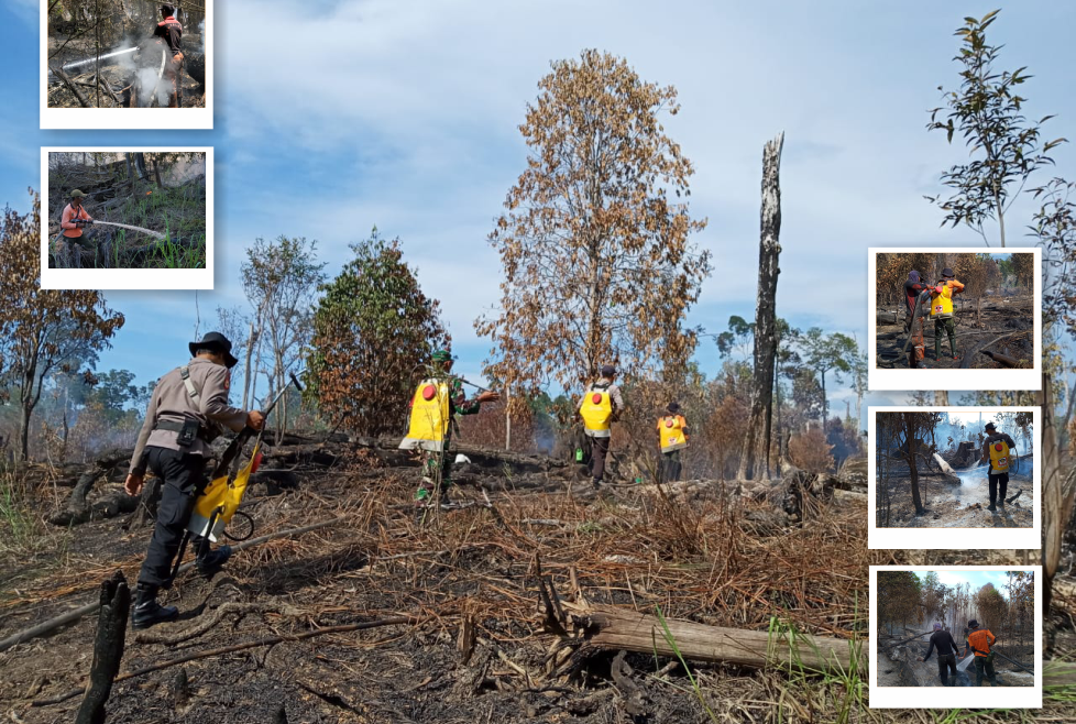 Manggala Agni Brigdalkarhut Tana Bentarum bersama TNI dan Polri berhasil melakukan Pemadaman Kebakaran Hutan
